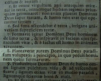 Elias is Deus Dominus, the lord god of the book of Genesis