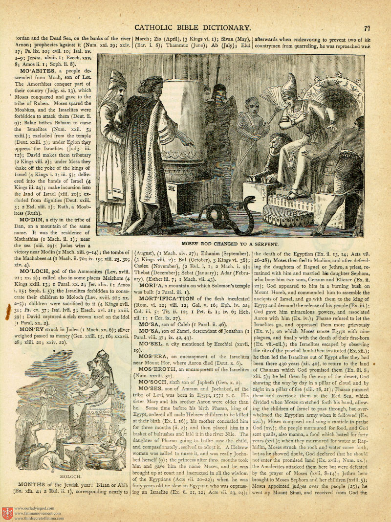 The 1883 Haydock Illuminati Douay Rheims Bible