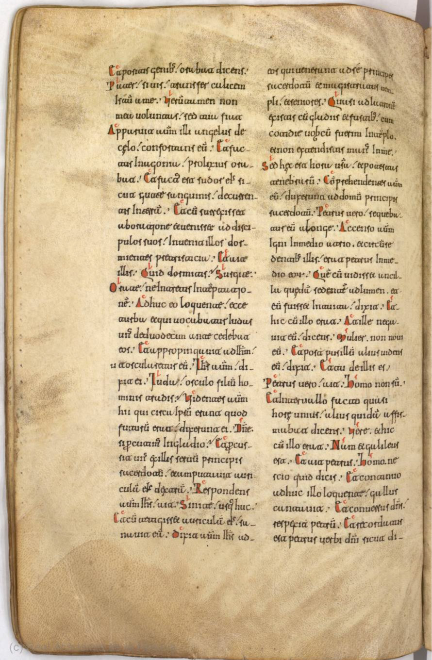 Missale Romanum from 1225 scan 250
