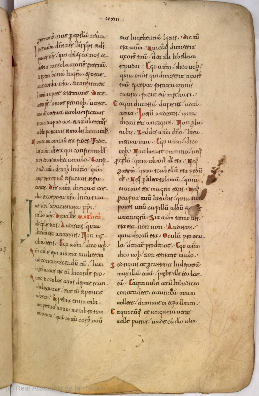 Missale Romanum from 1225 scan 455