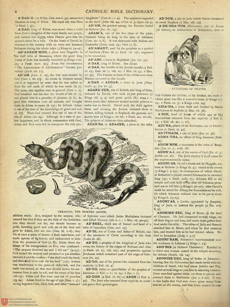 The Haydock Douay Rheims Bible page 0000