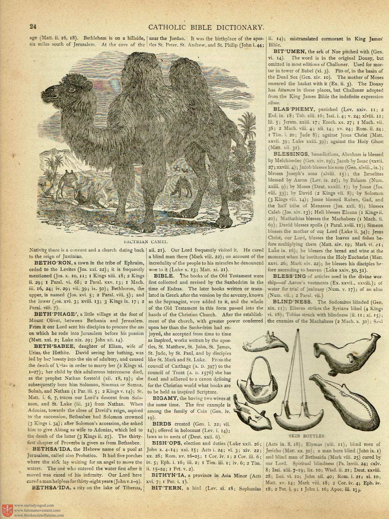 The Haydock Douay Rheims Bible page 0147