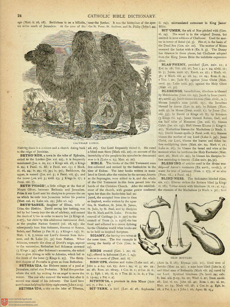 The Haydock Douay Rheims Bible page 0000