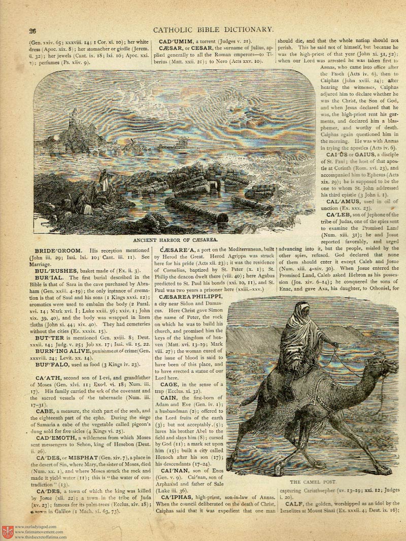 The Haydock Douay Rheims Bible page 0000