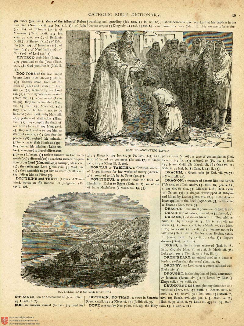 The Haydock Douay Rheims Bible page 0164