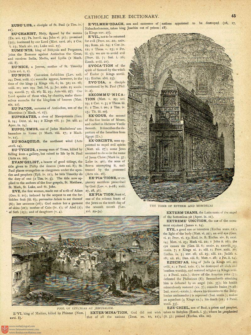 The Haydock Douay Rheims Bible page 0170