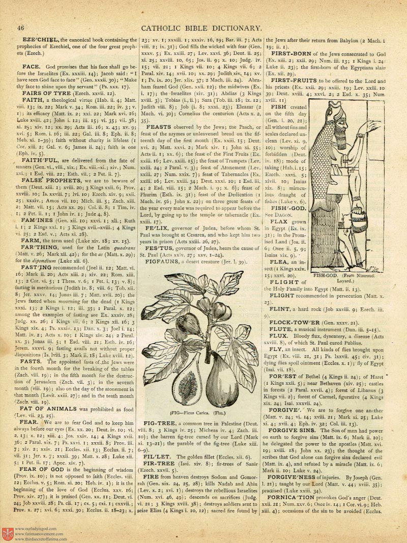 The Haydock Douay Rheims Bible page 0171