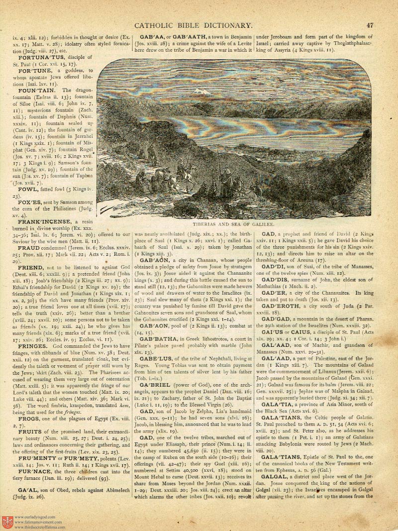 The Haydock Douay Rheims Bible page 0172