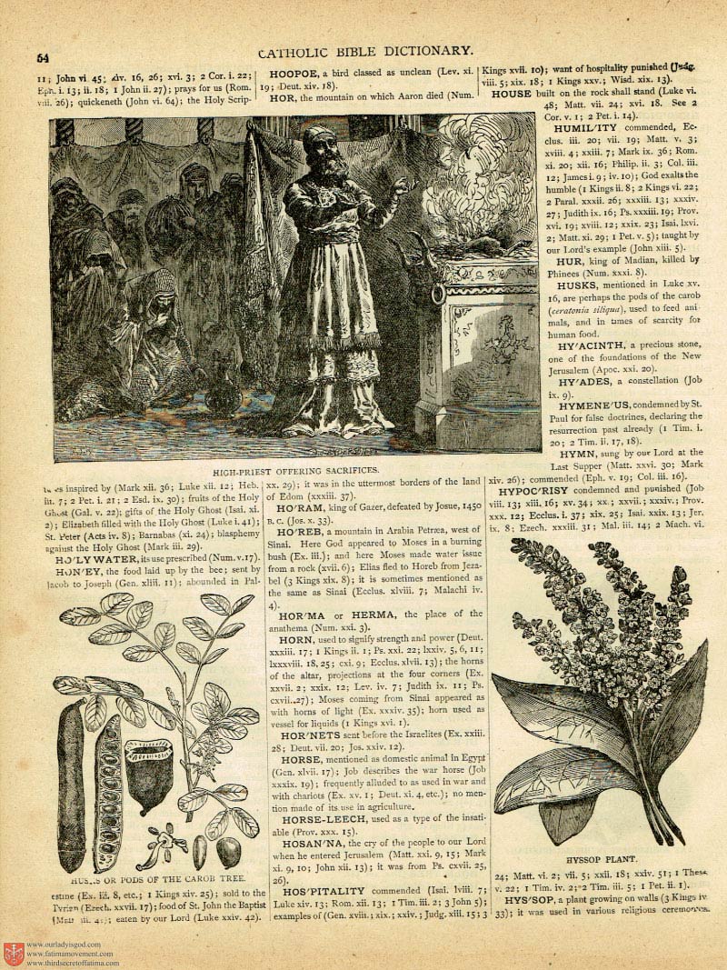 The Haydock Douay Rheims Bible page 0000