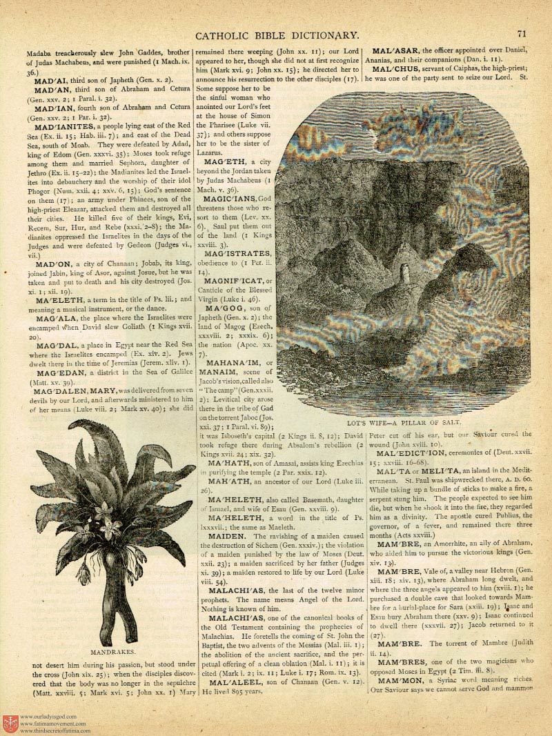The Haydock Douay Rheims Bible page 0000