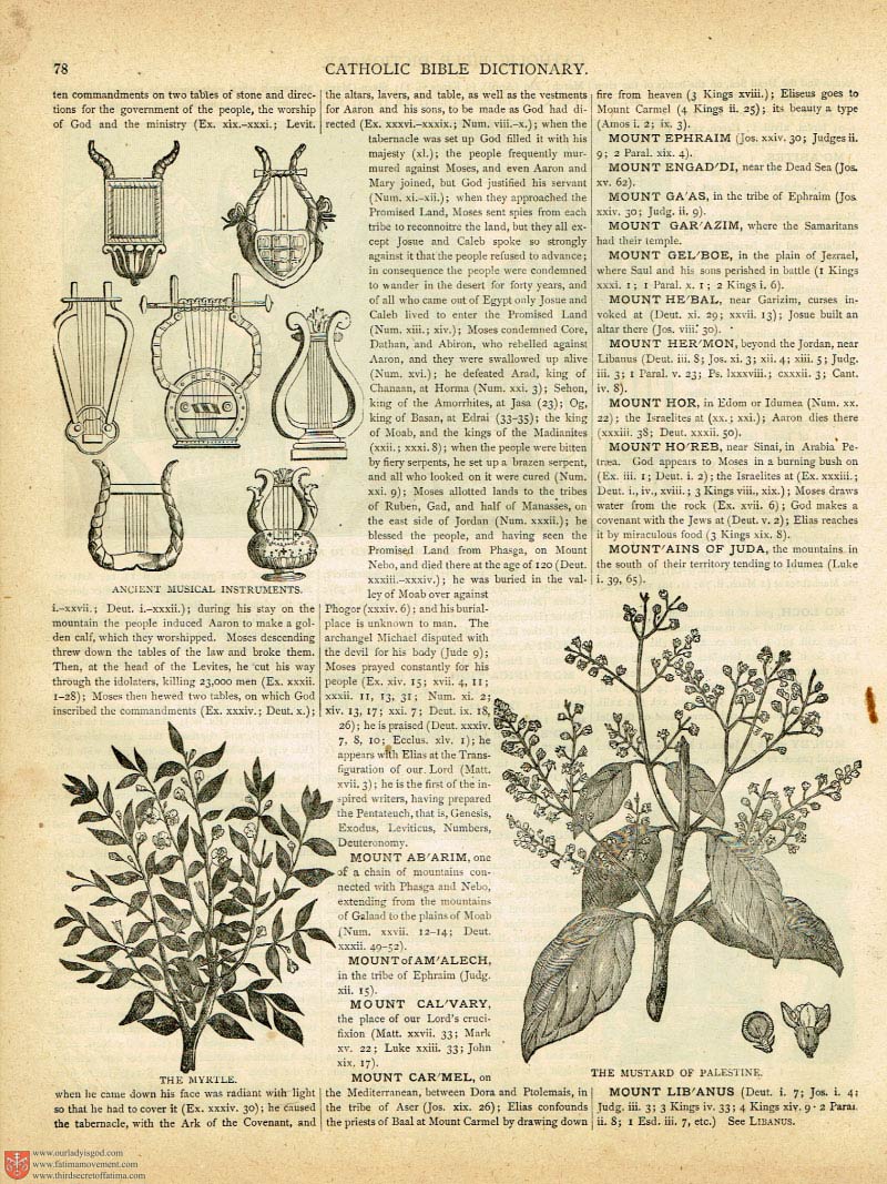 The Haydock Douay Rheims Bible page 0000