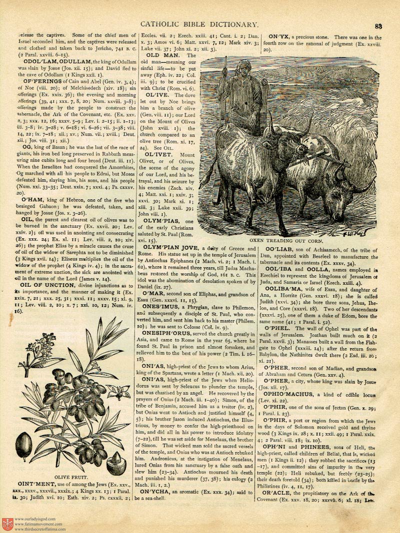 The Haydock Douay Rheims Bible page 0000