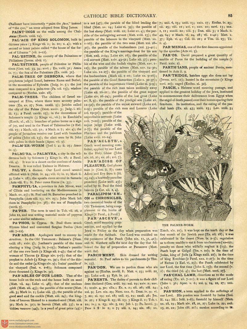 The Haydock Douay Rheims Bible page 0000