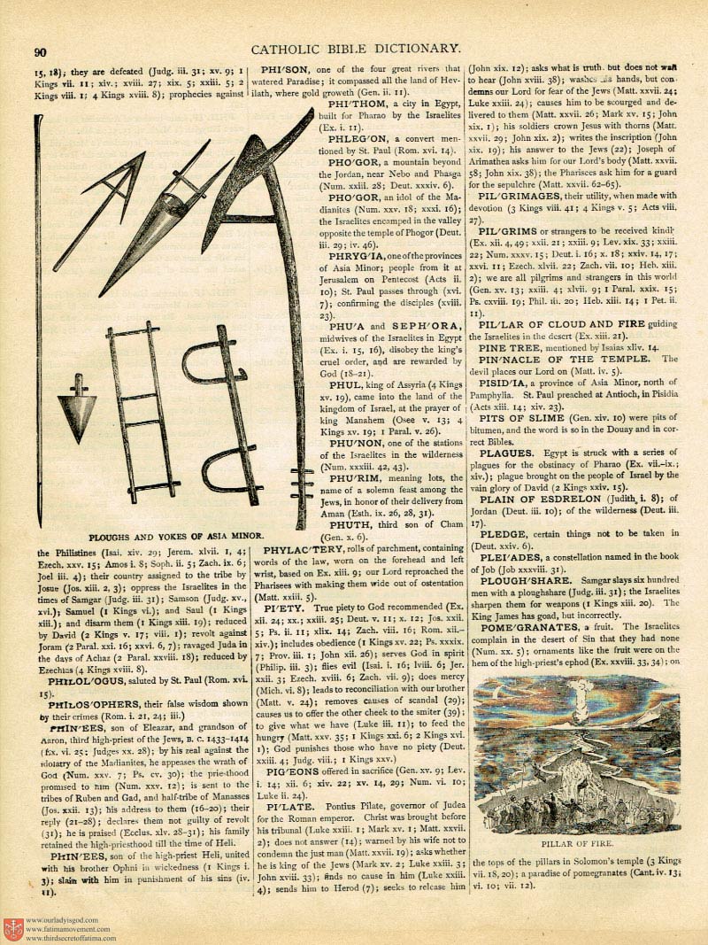The Haydock Douay Rheims Bible page 0215