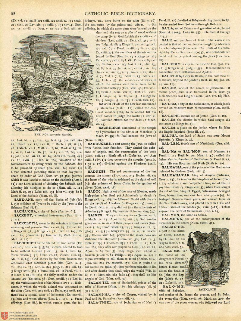 The Haydock Douay Rheims Bible page 0223
