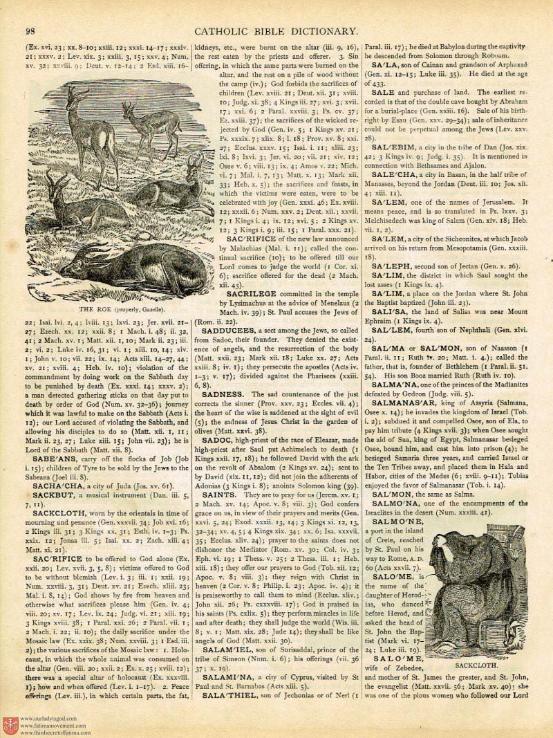 The Haydock Douay Rheims Bible page 0000