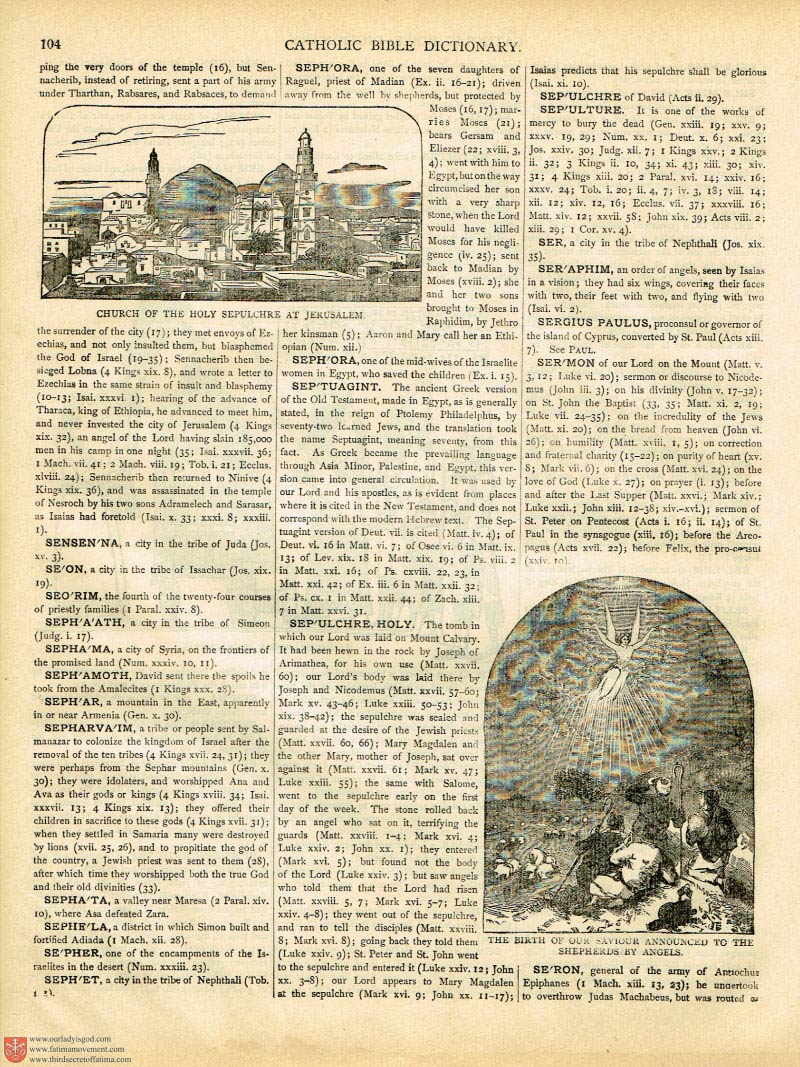 The Haydock Douay Rheims Bible page 0229
