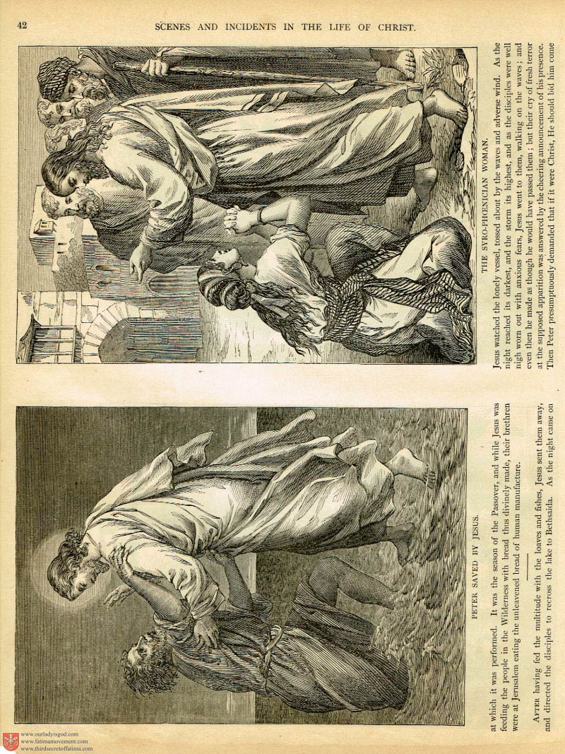 The Haydock Douay Rheims Bible page 0000