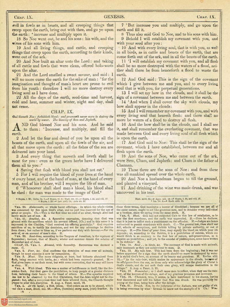 The Haydock Douay Rheims Bible page 0329