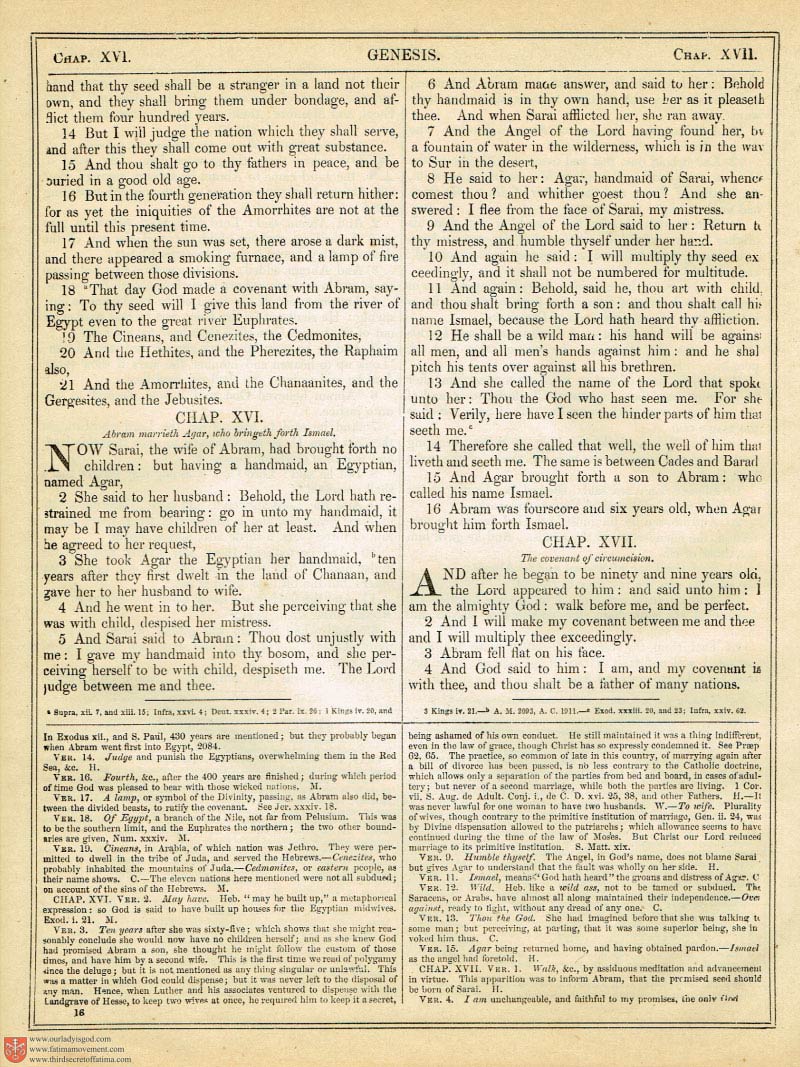 The Haydock Douay Rheims Bible page 0335