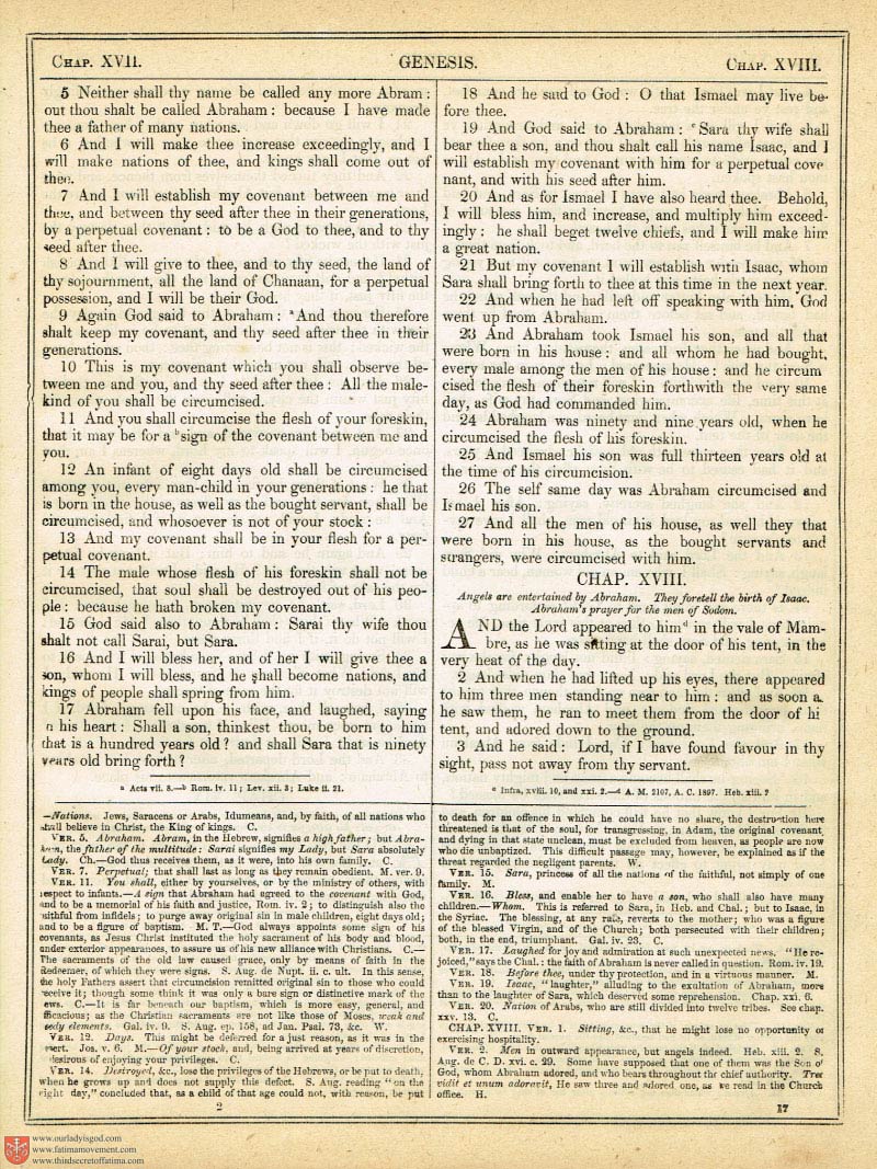 The Haydock Douay Rheims Bible page 0336