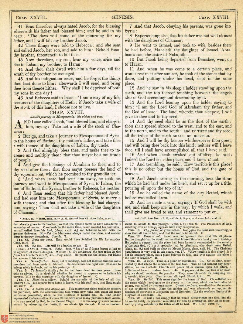 The Haydock Douay Rheims Bible page 0348