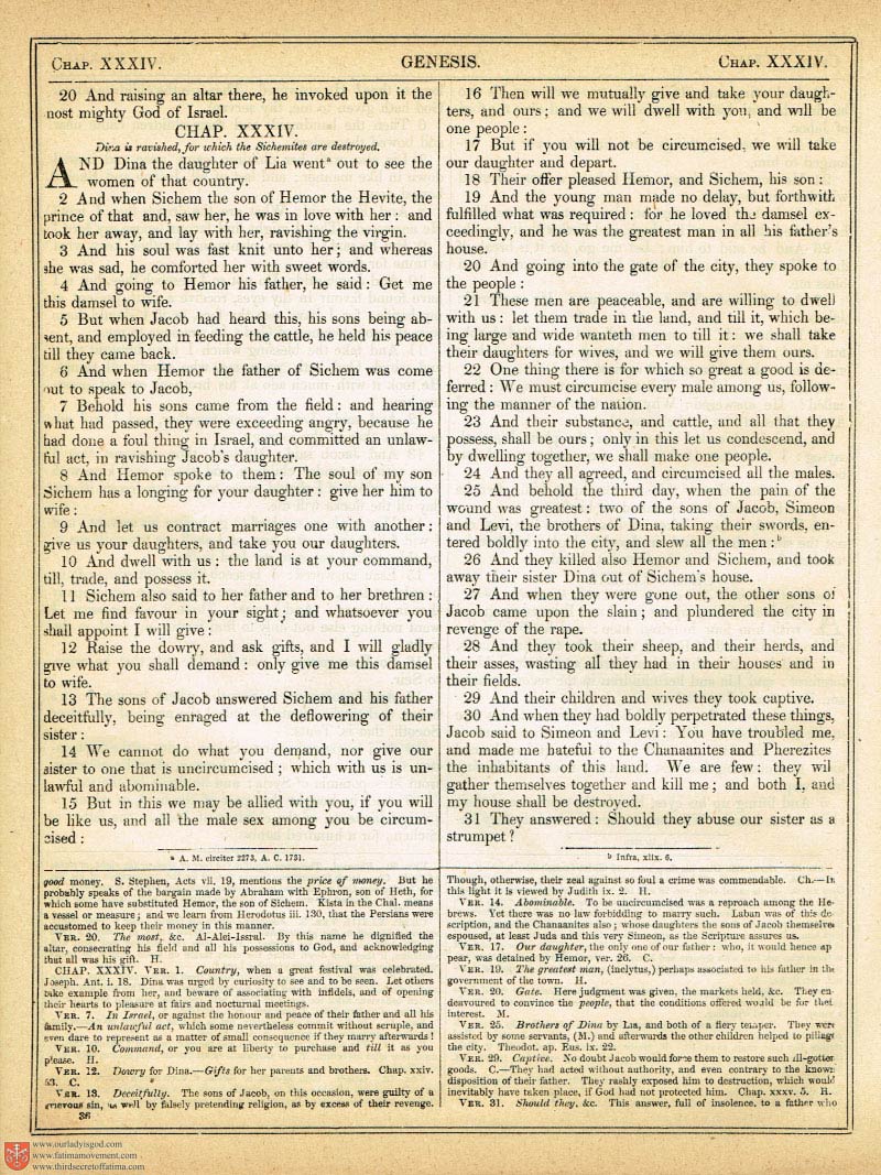 The Haydock Douay Rheims Bible page 0355