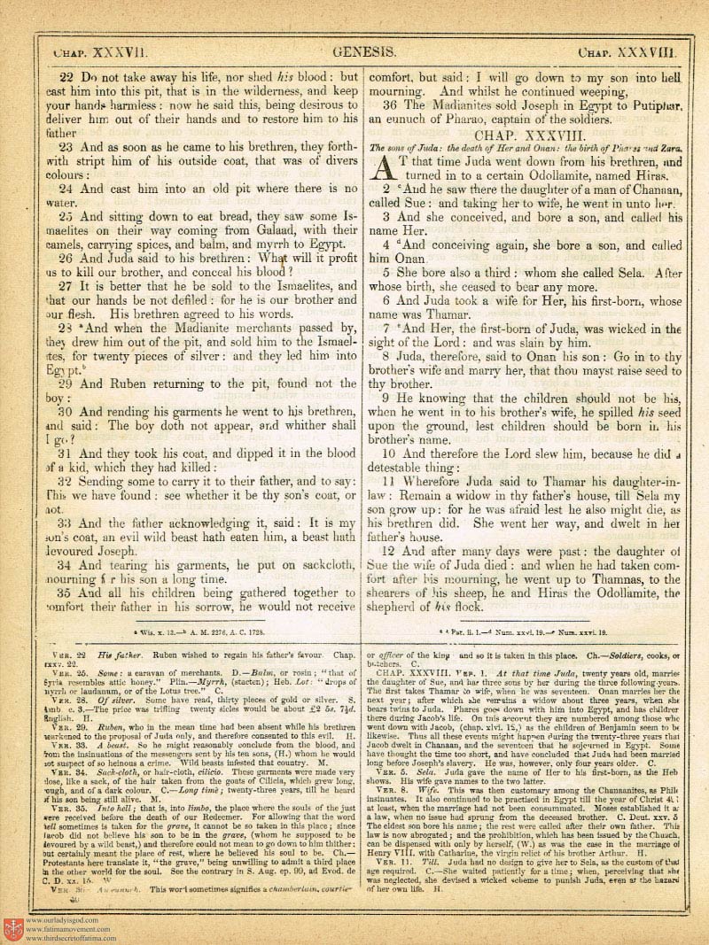 The Haydock Douay Rheims Bible page 0359