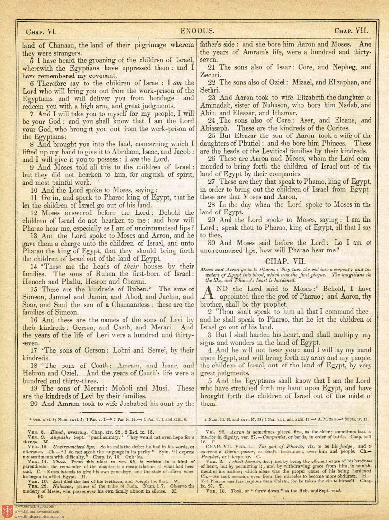 The Haydock Douay Rheims Bible page 0379