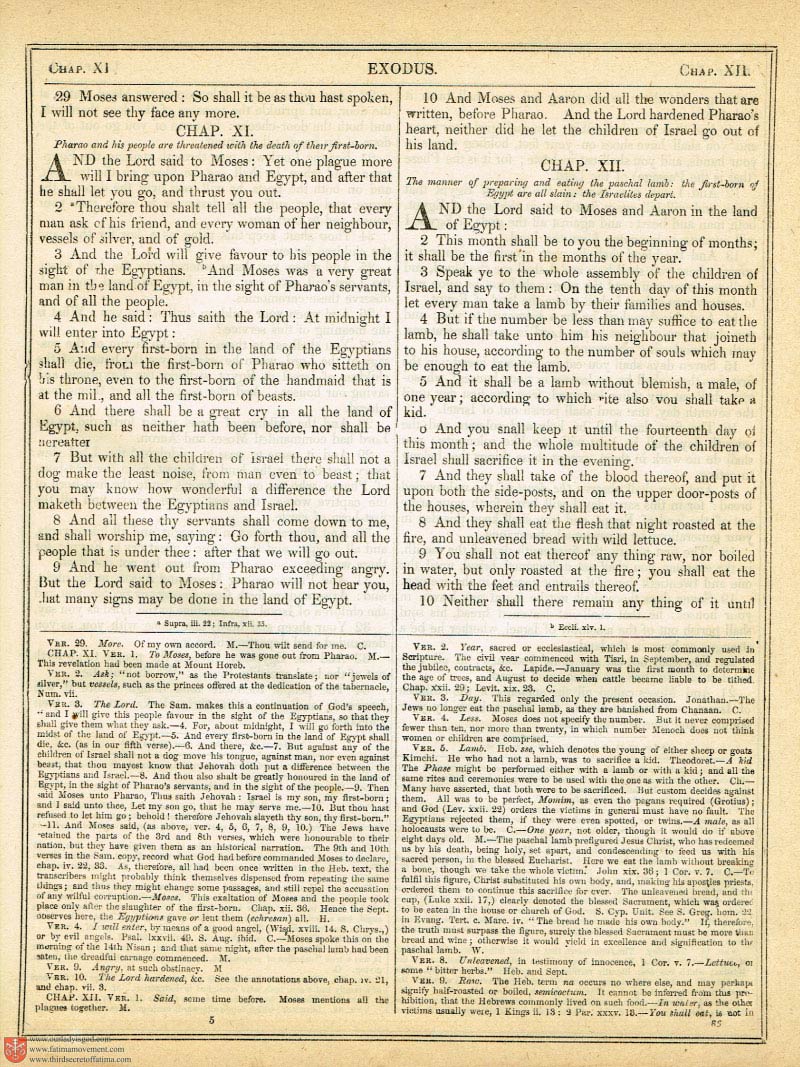 The Haydock Douay Rheims Bible page 0384