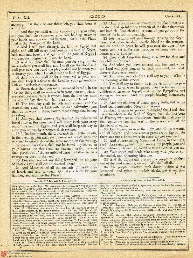The Haydock Douay Rheims Bible page 0385