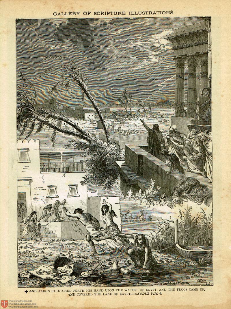 The Haydock Douay Rheims Bible page 0000