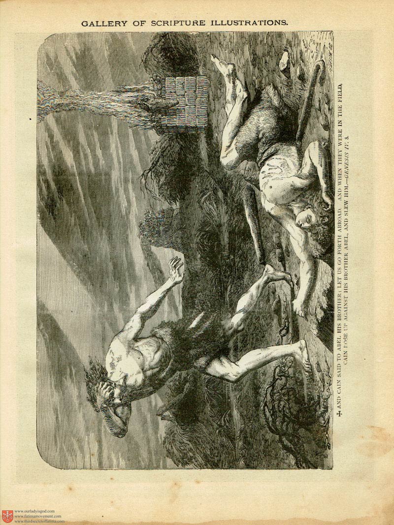 The Haydock Douay Rheims Bible page 0000