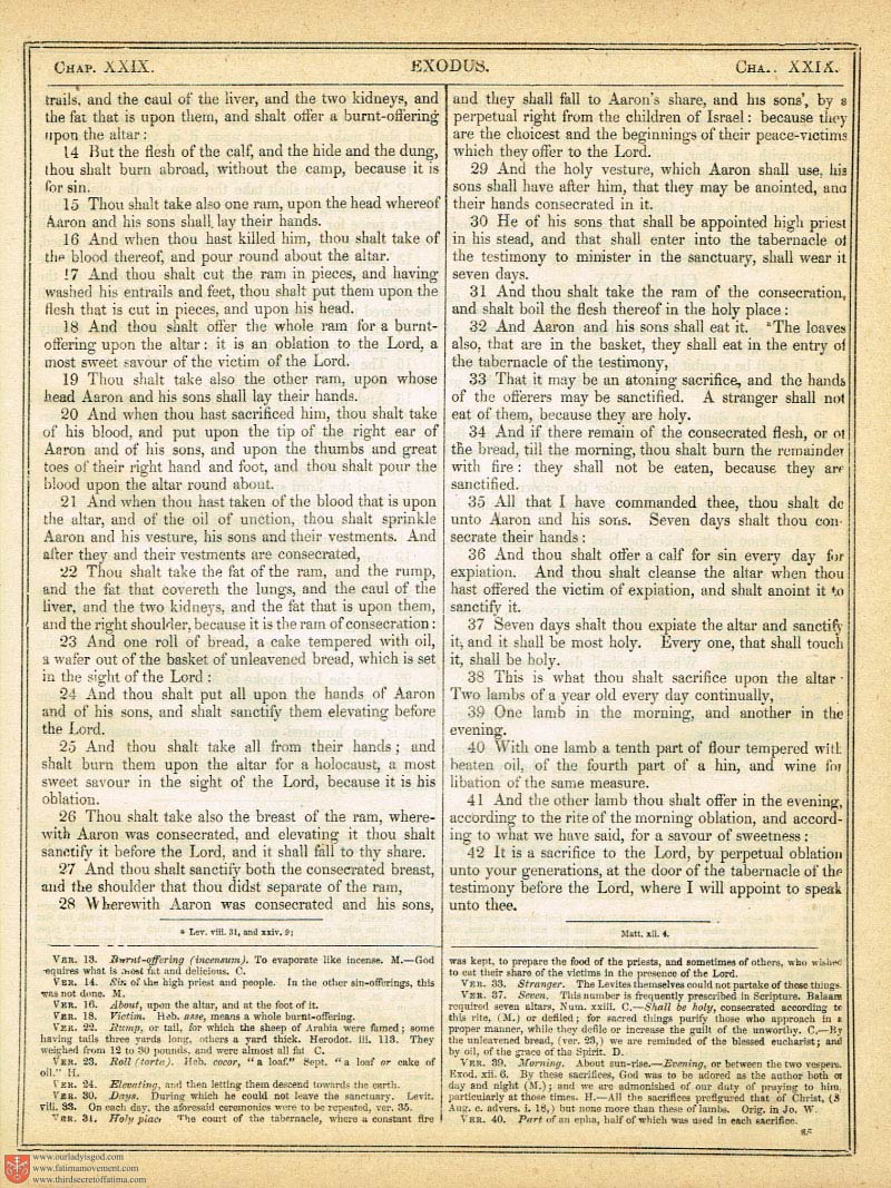 The Haydock Douay Rheims Bible page 0412