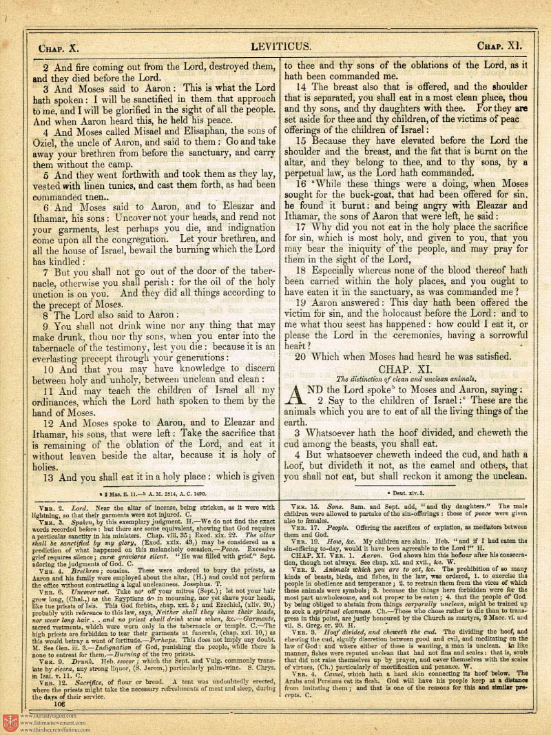 The Haydock Douay Rheims Bible page 0433