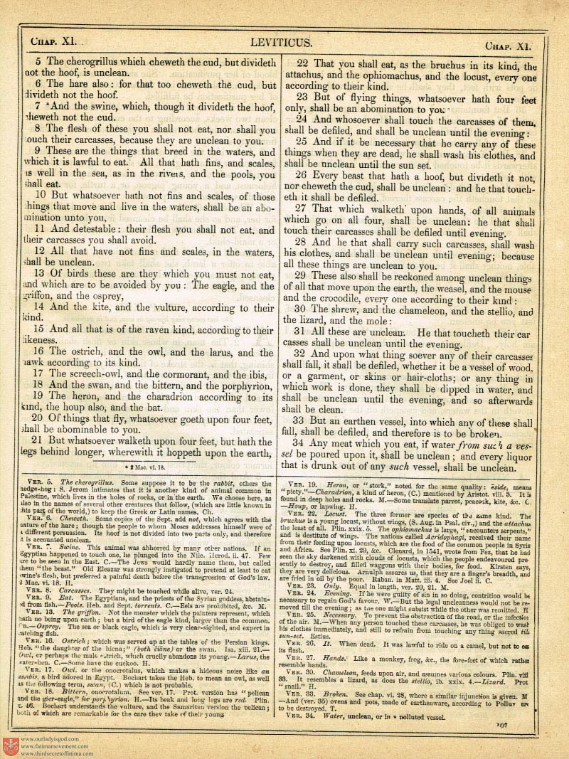 The Haydock Douay Rheims Bible page 0000