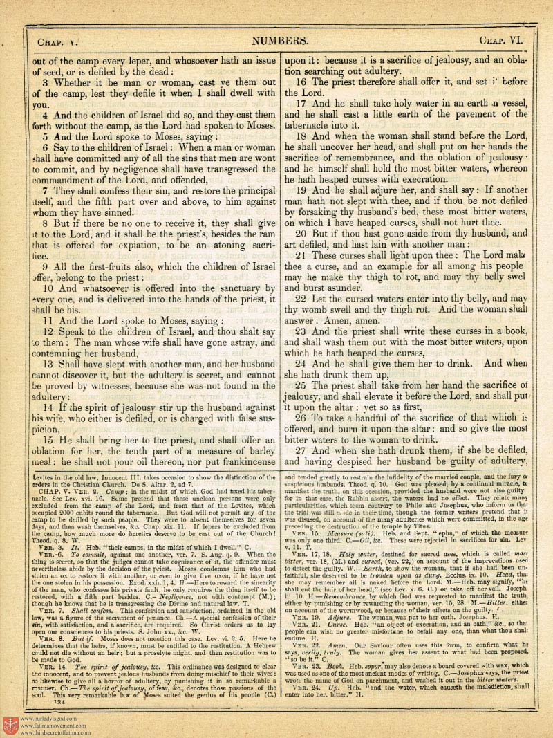 The Haydock Douay Rheims Bible page 0461