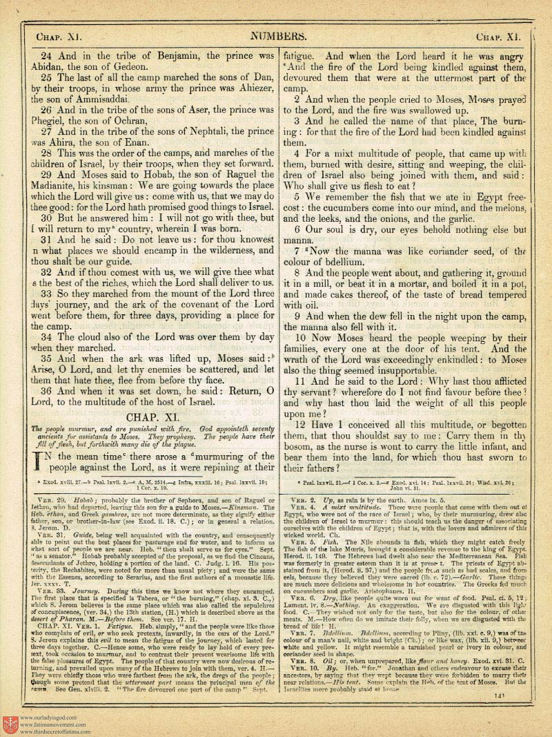 The Haydock Douay Rheims Bible page 0468