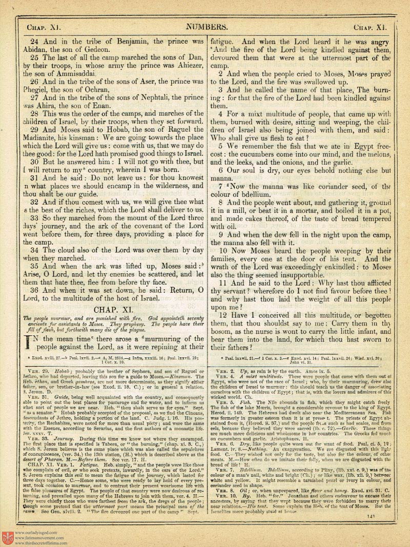 The Haydock Douay Rheims Bible page 0000