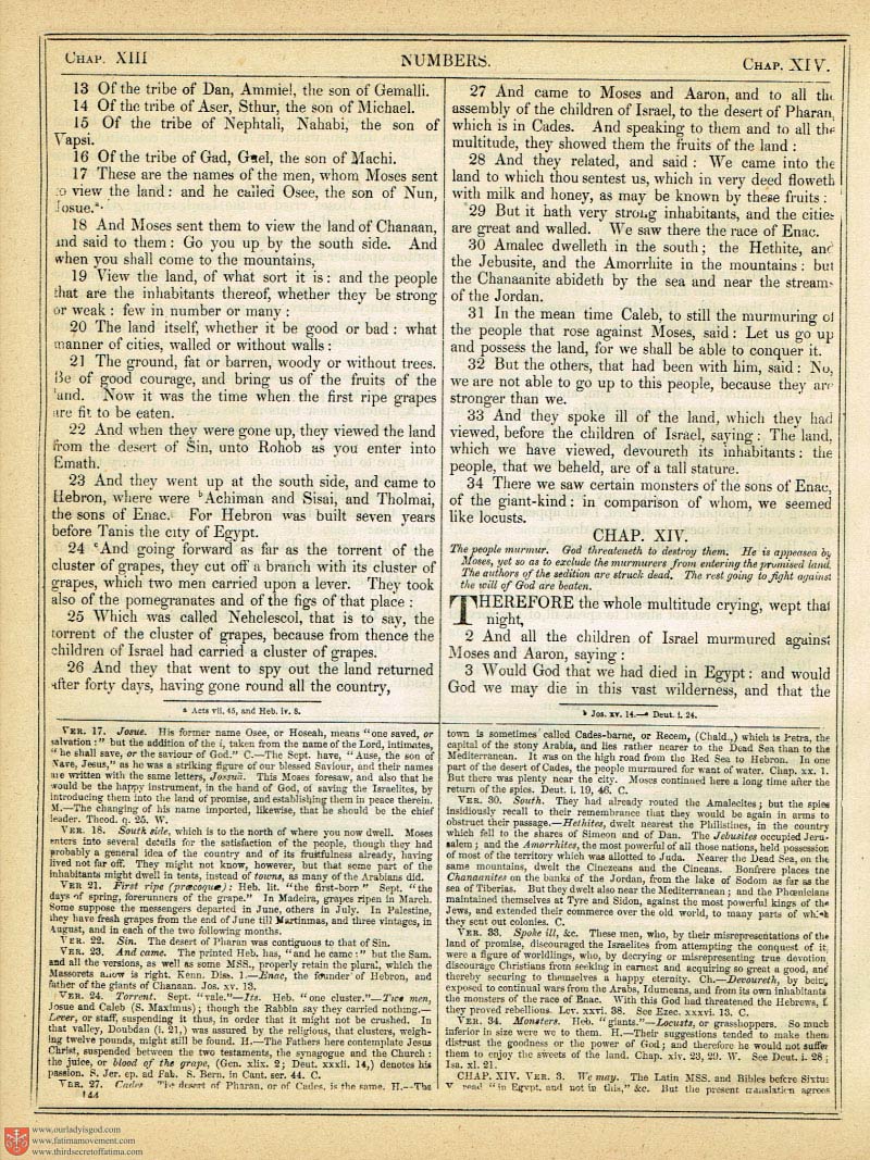 The Haydock Douay Rheims Bible page 0469