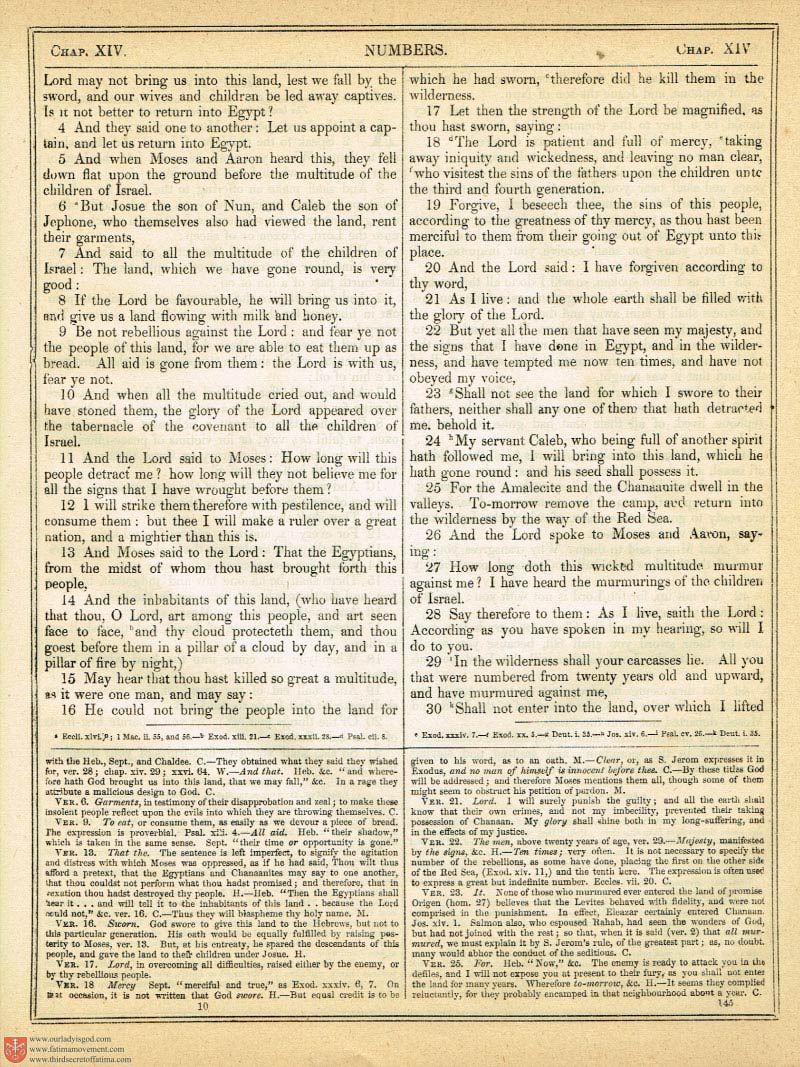 The Haydock Douay Rheims Bible page 0470