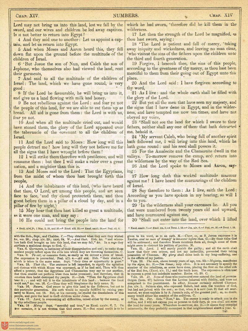 The Haydock Douay Rheims Bible page 0000