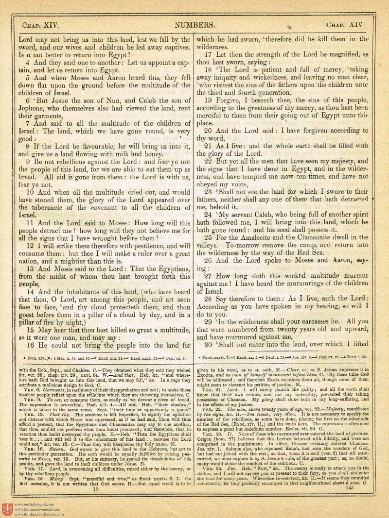 The Haydock Douay Rheims Bible page 0472