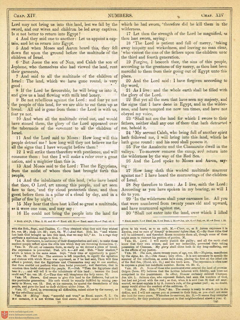 The Haydock Douay Rheims Bible page 0000