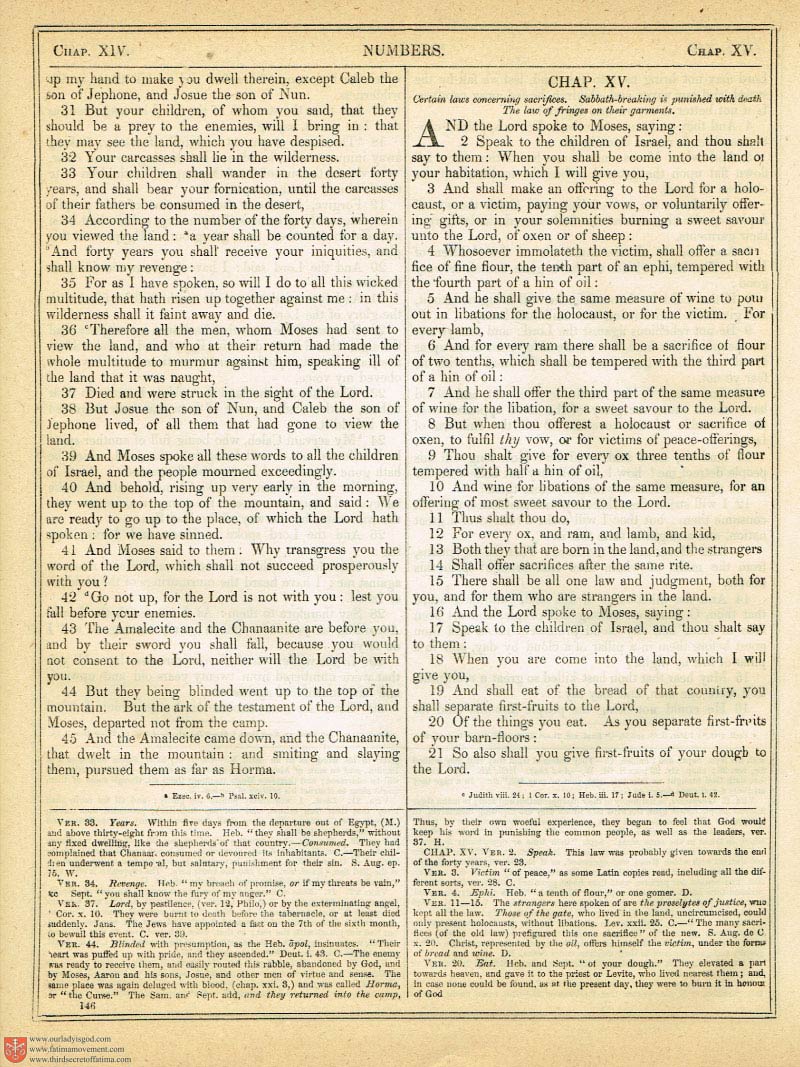 The Haydock Douay Rheims Bible page 0000