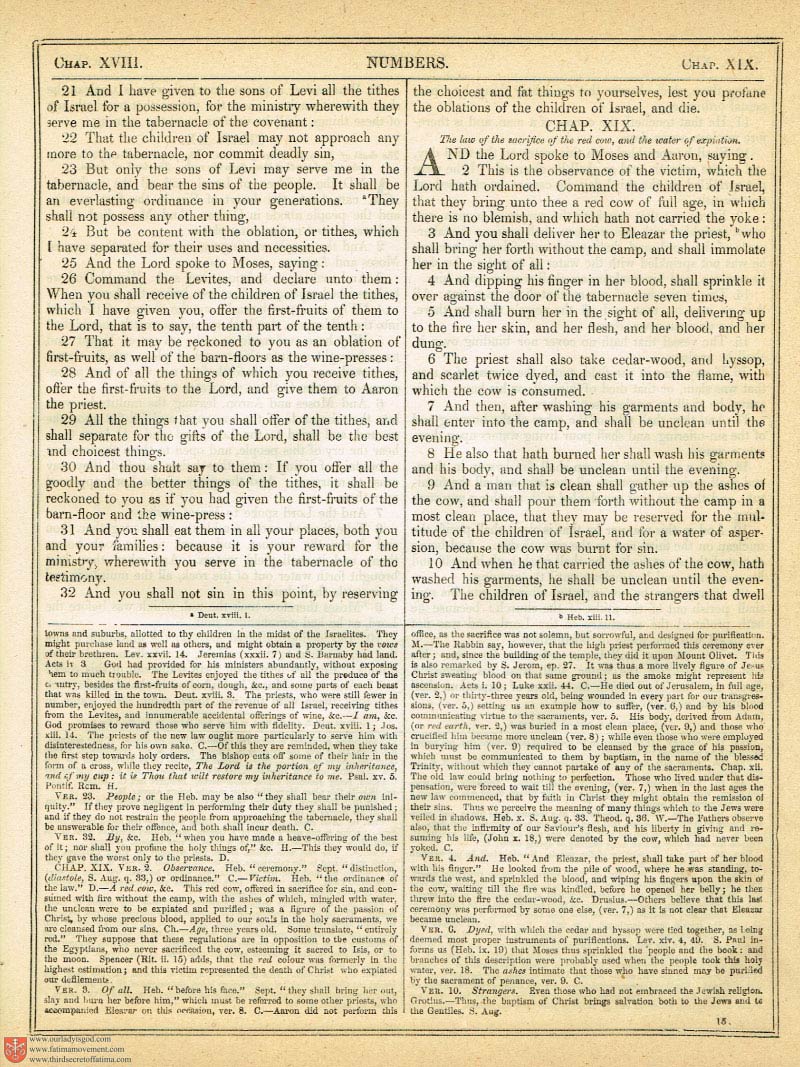 The Haydock Douay Rheims Bible page 0000