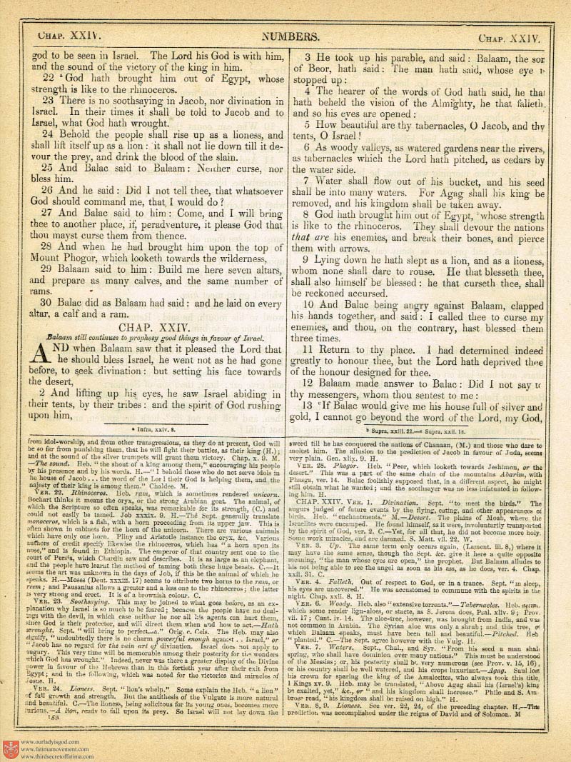 The Haydock Douay Rheims Bible page 0485
