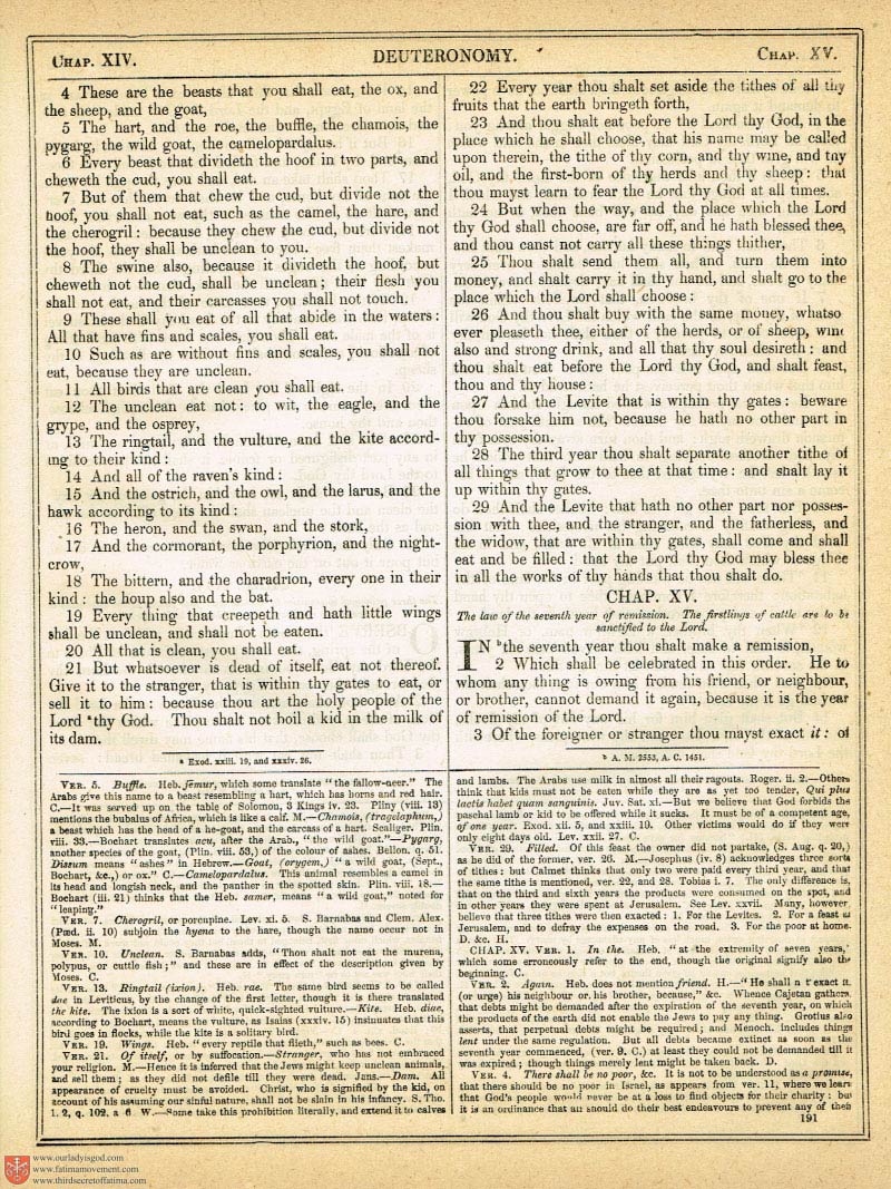 The Haydock Douay Rheims Bible page 0518