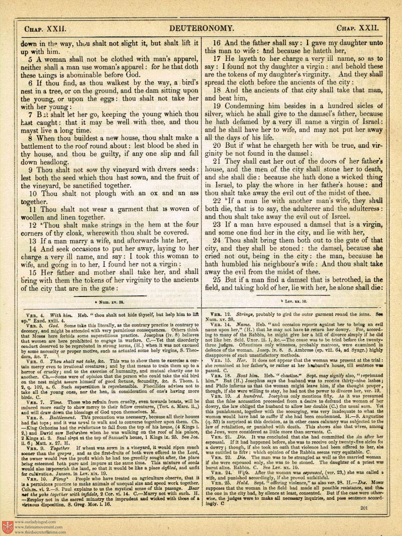 The Haydock Douay Rheims Bible page 0528