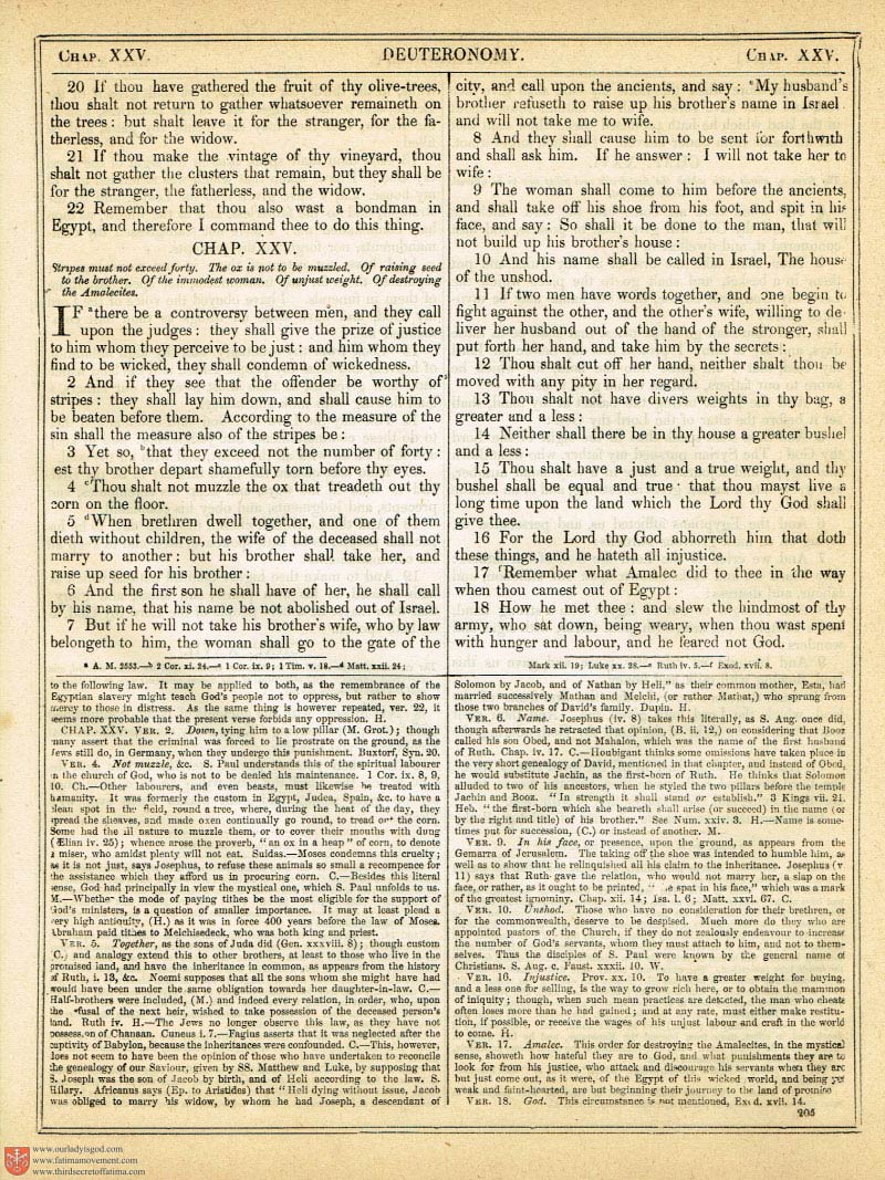 The Haydock Douay Rheims Bible page 0532